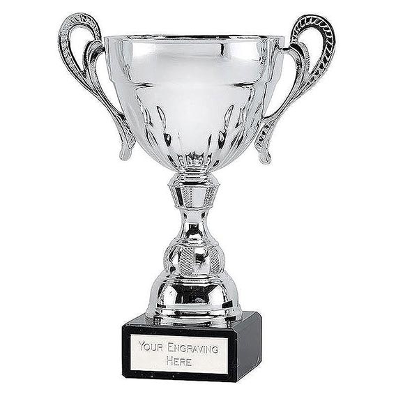 Silver Washington6 Cup 16cm