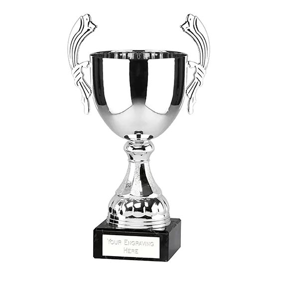 Silver  Sydney Cup  19cm