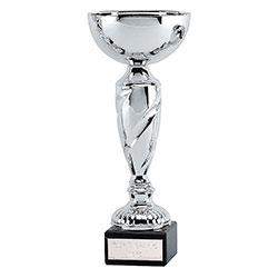 Silver Noble Cup 20cm