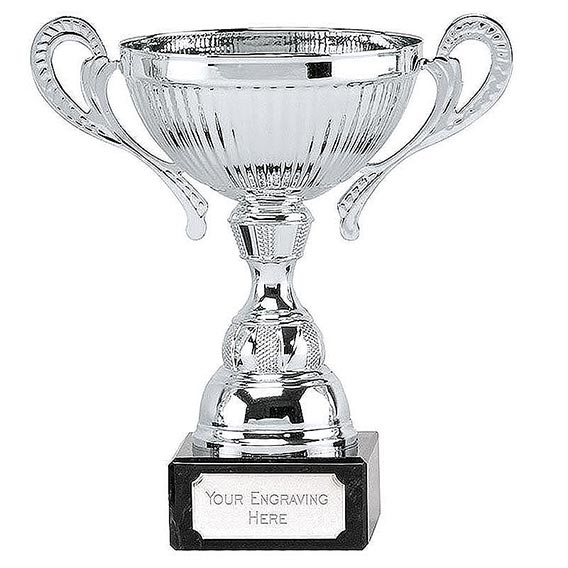 Silver Turin Silver Cup 165mm