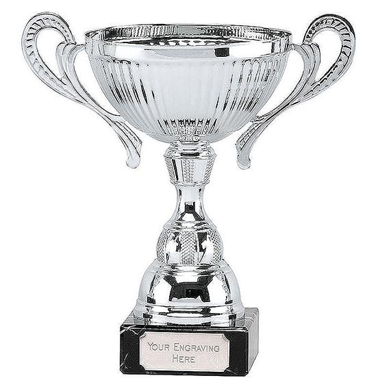 Silver Turin Silver Cup 23cm