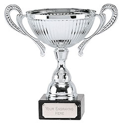 Silver Turin Silver Cup 265mm