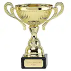 Gold Turin Gold Cup 165mm