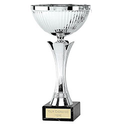 Silver Equity Silver Cup 305mm