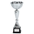 Silver Wave Cup 265mm