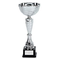 Silver Wave Cup 34cm