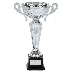 Silver Tweed Cup with Handles 27cm
