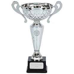 Silver Tweed Cup with Handles 34cm