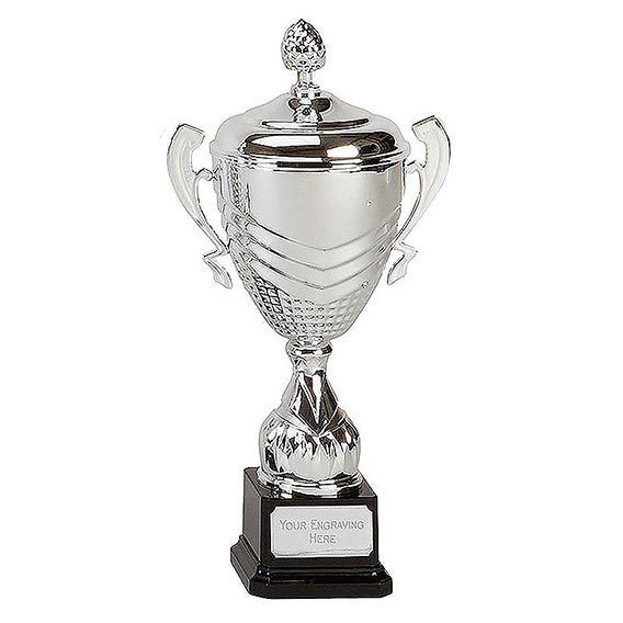 Silver Link Apex Silver Cup 30cm