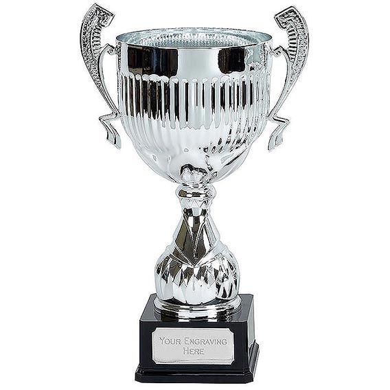 Silver Alpha Silver Cup 48cm