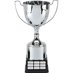 Silver Elite Perpetual XL Cup 46cm