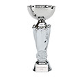 Silver Tower Silver Cup 19cm