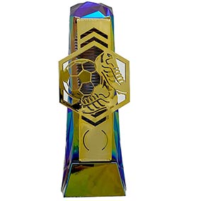 Hydro Gold Henge Football Trophy 23cm