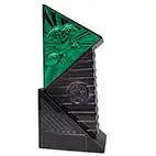Green Infinium Football Award 22cm