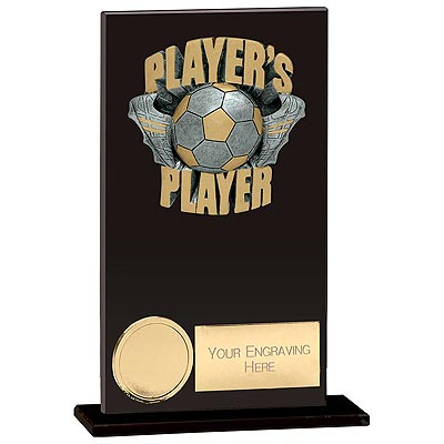 Euphoria Hero Players Player Award 140mm