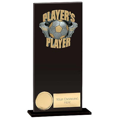 Euphoria Hero Players Player Award 180mm