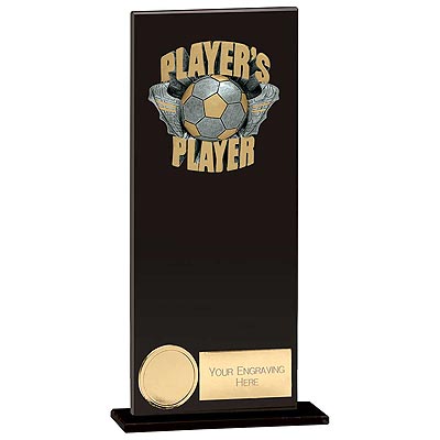 Euphoria Hero Players Player Award 200mm