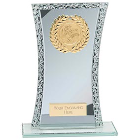 Eternal Silver Mirror Multisport Award 165mm