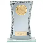Eternal Silver Mirror Multisport Award 185mm