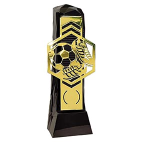 Black Gold Henge Football Hex 23cm