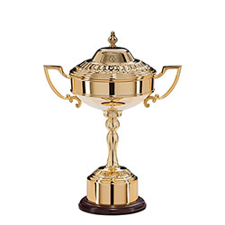 Sterling Gold Plated Cup 290mm