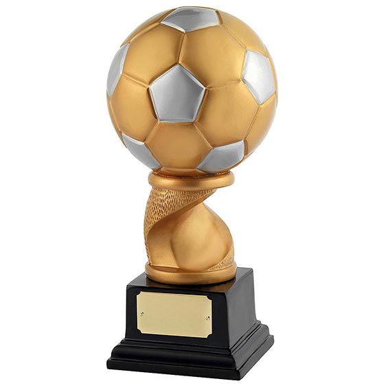 Gold Silver Football Award 255mm