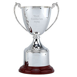 Silver Explorer Silver Plated Cup 215mm