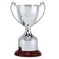 Silver Explorer Silver Plated Cup 215mm