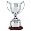 Silver Explorer Silver Plated Cup 265mm