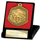 65mm Falcon Football Medal in Case Gold