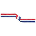Red White Blue Medal Ribbon 22mm