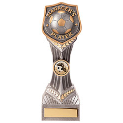 Falcon Football Managers Player Award 220mm