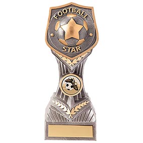 Falcon Football Star Award 190mm