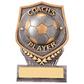 Falcon Football Coachs Player Award 105mm