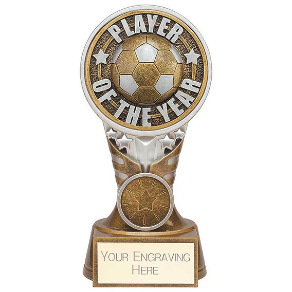 Ikon Tower Player of the Year 150mm