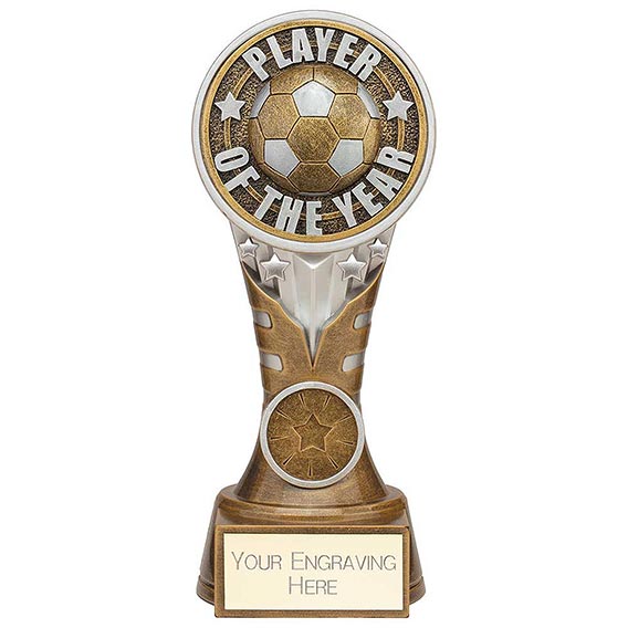 Ikon Tower Player of the Year 175mm