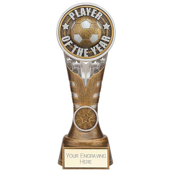Ikon Tower Player of the Year 200mm