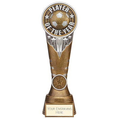 Ikon Tower Player of the Year Award 225mm