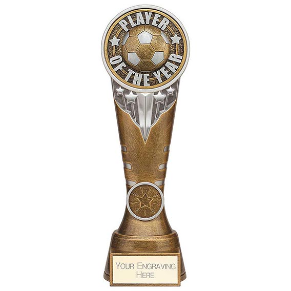 Ikon Tower Player of the Year Award 225mm