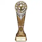 Ikon Tower Player of the Month Award 225mm