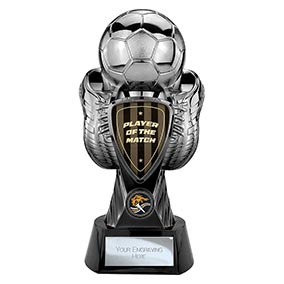 Player of the Match Tournament Trophy 280mm