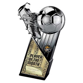 Marauders Player of the Month Trophy 280mm