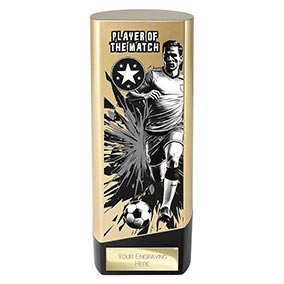 Player of the Match Gold Prime 190mm
