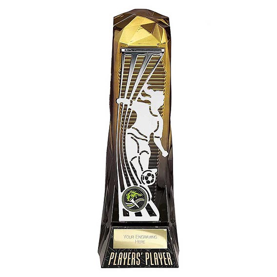 Shard Female Players Player Award 230mm
