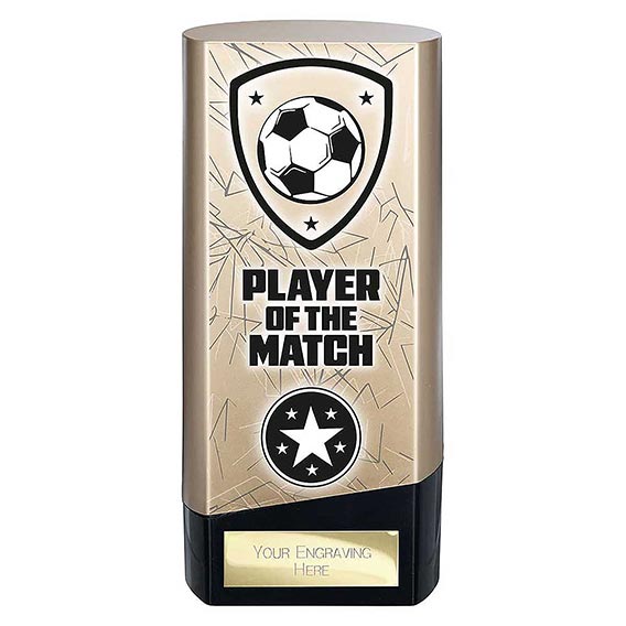 Gold Prime Player of the Match 160mm