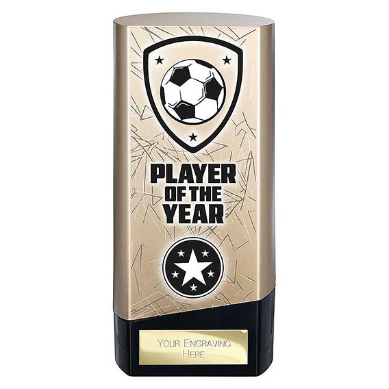 Gold Prime Player of the Year 160mm