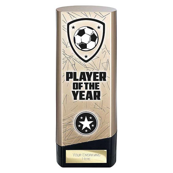 Gold Prime Player of the Year 190mm