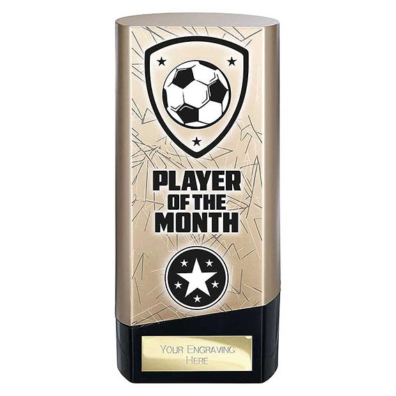 Gold Prime Player of the Month 160mm