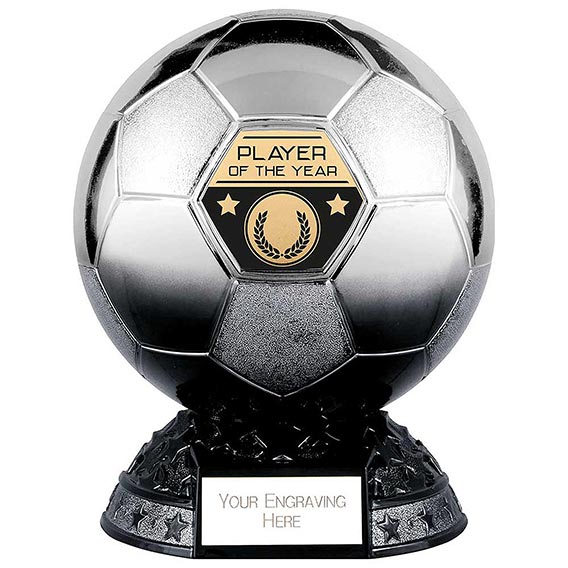 Elite Metallic Silver to Black Player of the Year 185mm