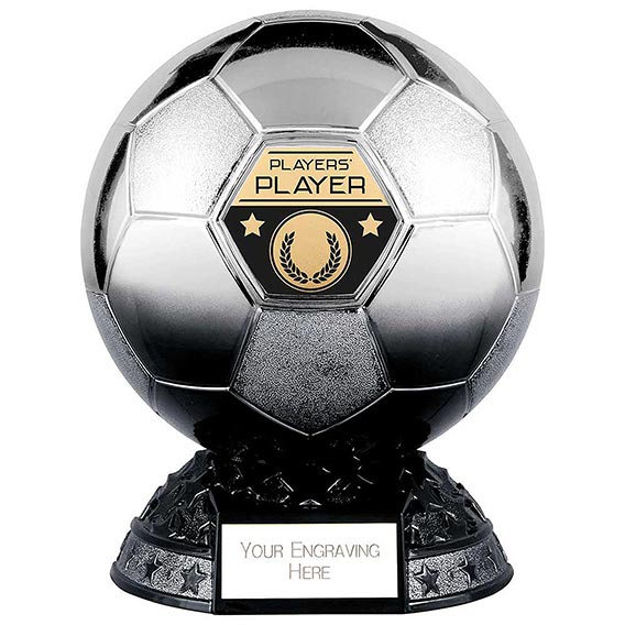 Elite Metallic Silver to Black Players Player 200mm